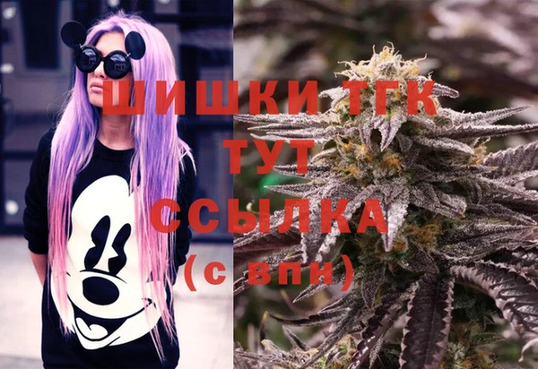 бошки Абаза