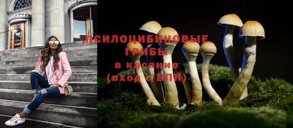 бошки Абаза