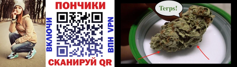 Бошки марихуана семена  Подпорожье 
